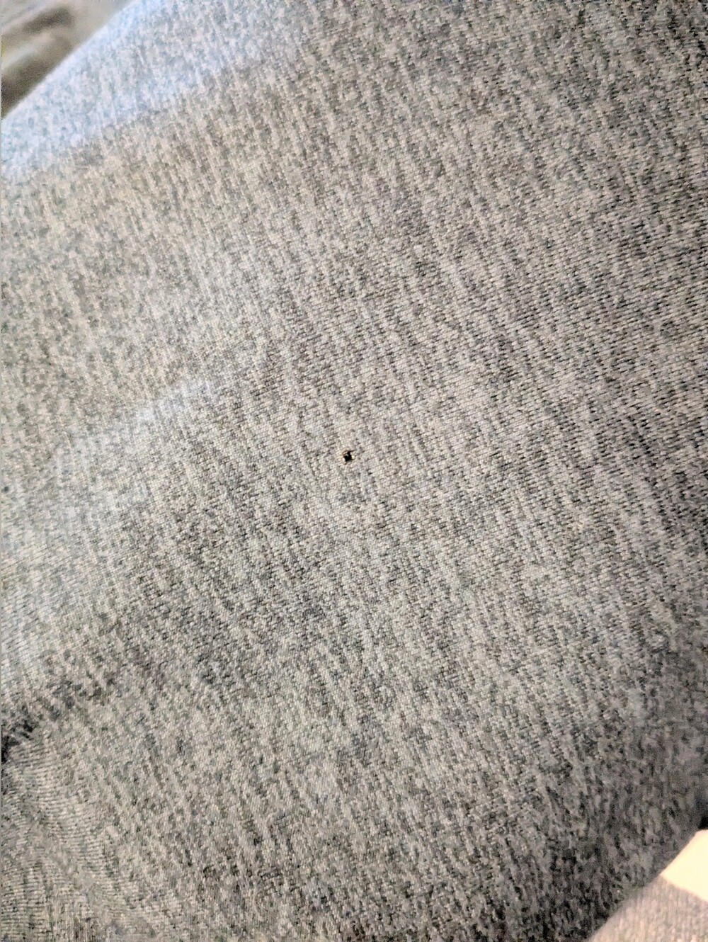 Lululemon Men's Soft Jersey Classic-Fit Pants S - Picture 11 of 11